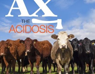 Ax the Acidosis