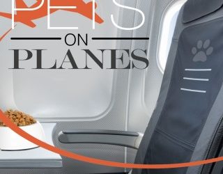 Pets on Planes – Air Travel Tips