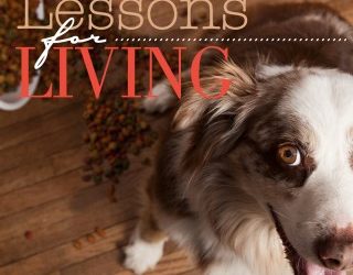 Lessons for Living – Dog Training