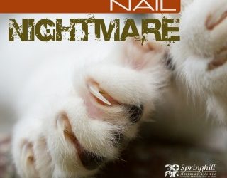 Nail Nightmare