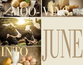 Moo-ving into June – Dairy Month