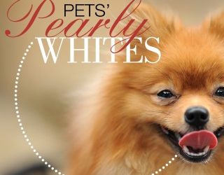 Pet’s Pearly Whites – Dental Month