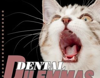 Dental Dilemmas