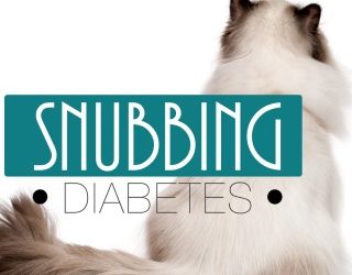 Snubbing Diabetes