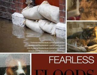 Disaster Prep. – Floods