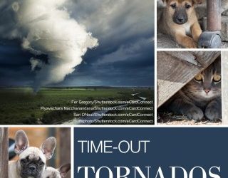 Disaster Prep – Tornados