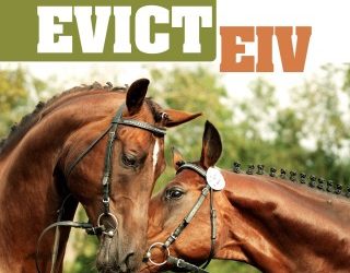 EIV – Horses