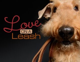 Love on a Leash