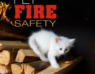 Pet Fire Safety