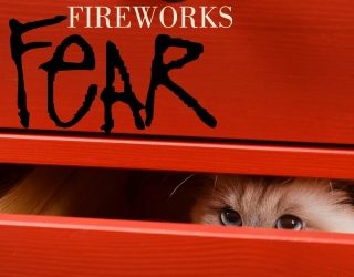 Fireworks Fear