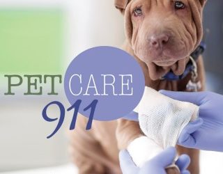 Pet Care 911