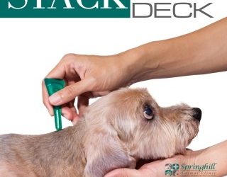 Stack the Deck Against Fleas and Ticks