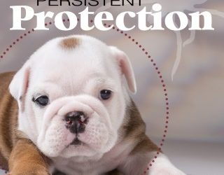 Persistent Protection – Flea & Tick