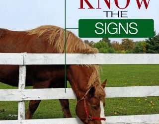 Know the Signs – Grass Sickness