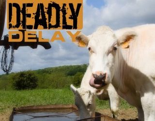 Deadly Delay – Johne’s Disease