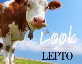 A Look at Lepto