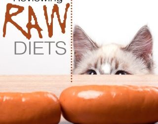 Reviewing Raw Diets