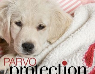 Parvo Protection