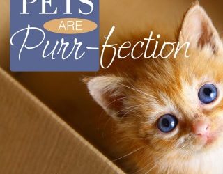 Pets are Purr-fection