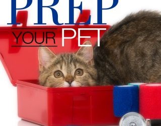 Prep Your Pet For Disasters