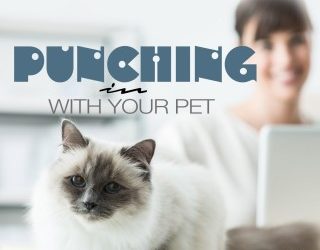 Punching with your Pet