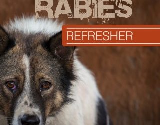 Rabies Refresher