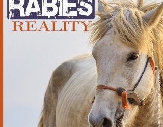 Rabies Reality – Equine