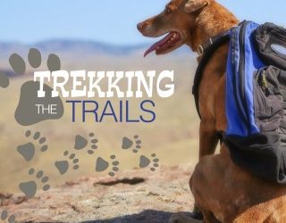 Trekking the Trails – Recreation