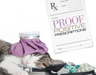 Filling Prescriptions