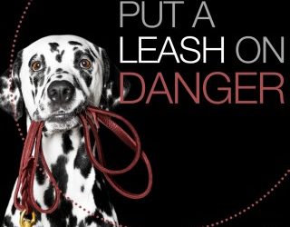 Safety – Put a leash on danger