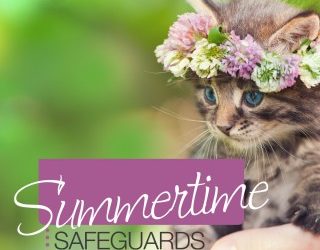 Summertime Safeguards