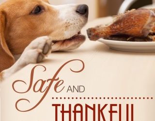 Thanksgiving Safety – Must Read!