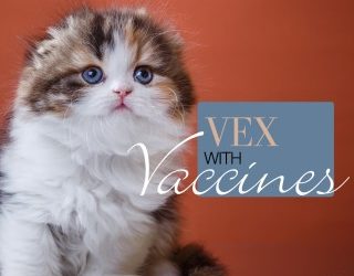 Importance of Vaccination