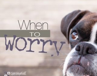 When to Worry – Vomiting