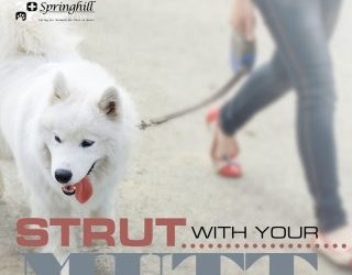 Strut with your Mutt