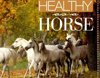 Healthy as a Horse