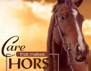 Preventative Care for Horses