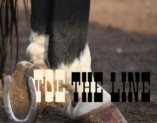 White Line Disease – Equine