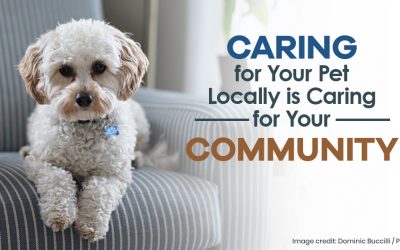 Caring for Your Pet Locally is Caring for Your Community