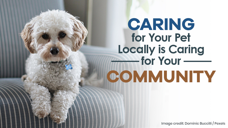 Caring for Your Pet Locally is Caring for Your Community
