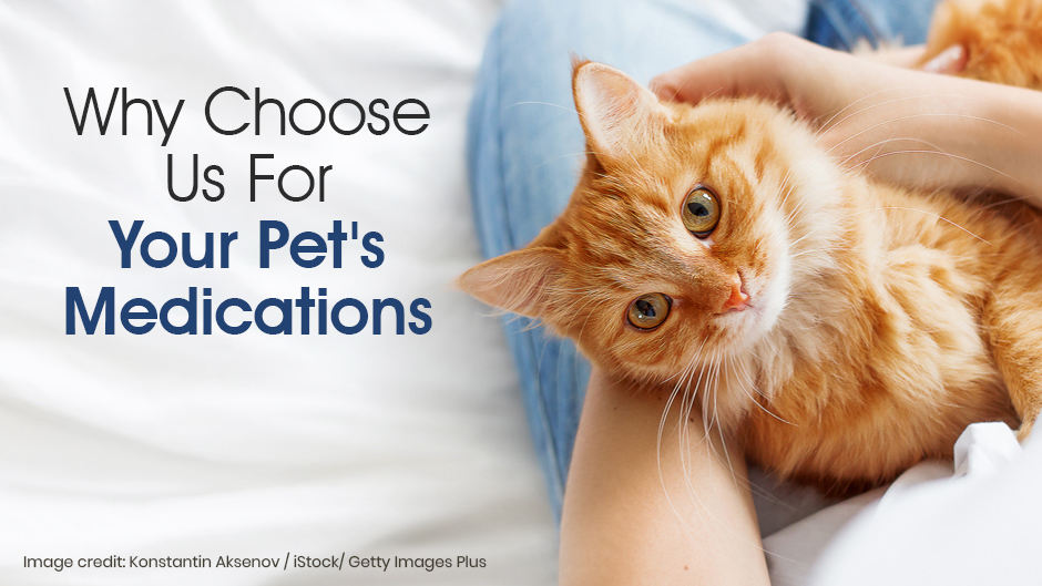 Your Pet's Medications