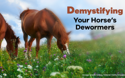 Demystifying Your Horse’s Dewormers