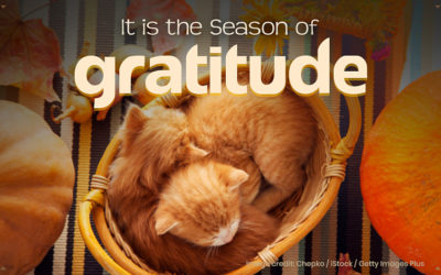 It is the Season of Gratitude