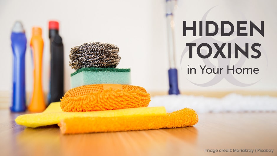 Hidden Pet Toxins in Your Home