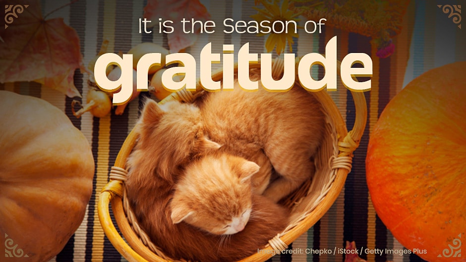 Season of Gratitude