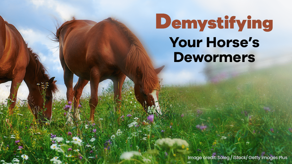 Your Horse's Dewormers